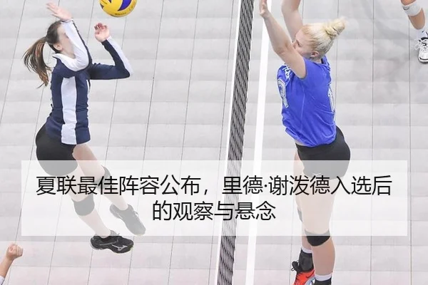 夏联最佳阵容公布，里德·谢泼德入选后的观察与悬念
