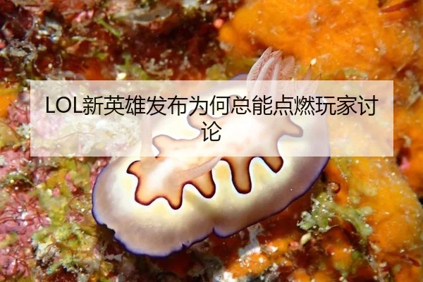 xin-ying-xiong-fa-bu-wei-he-zong-neng-dian-ran-wan-jia-tao-lun-2-439.jpg